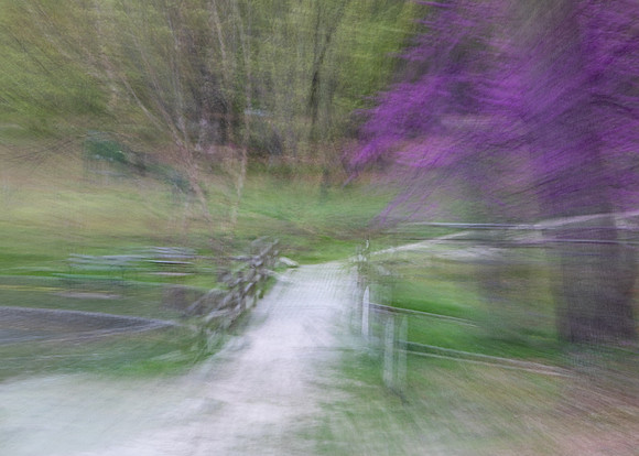 Into the Path
