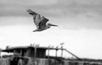 Flying By Myself