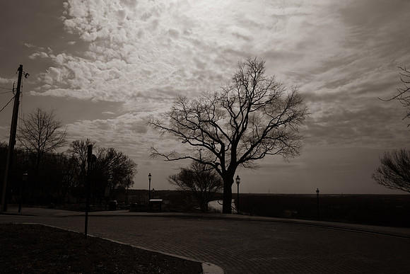 Wistful