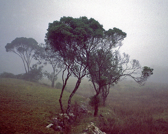 Morning, San Cristobal