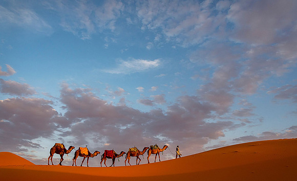 Into the Desert