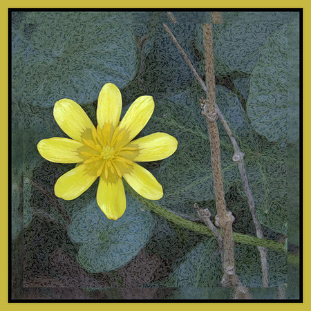 Mellow Yellow