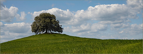 Hilltop Serenity - HM