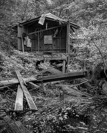 Abandoned Shack on Ebenezer Creek