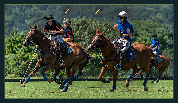 Polo 1