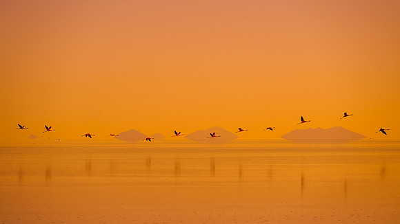 Sunset Flamboyance