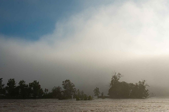 Foggy James