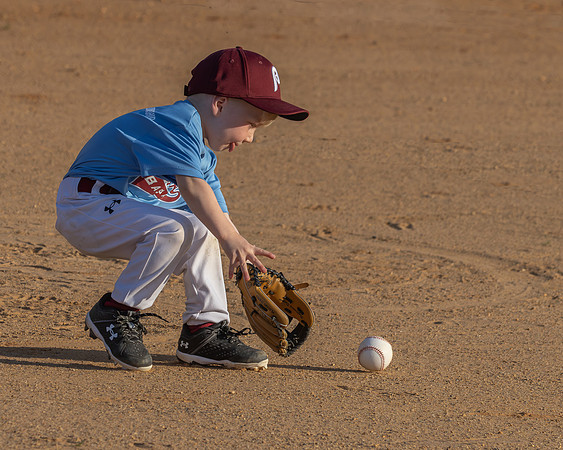 Focused Fielder - 3rd