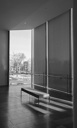 Looking Out