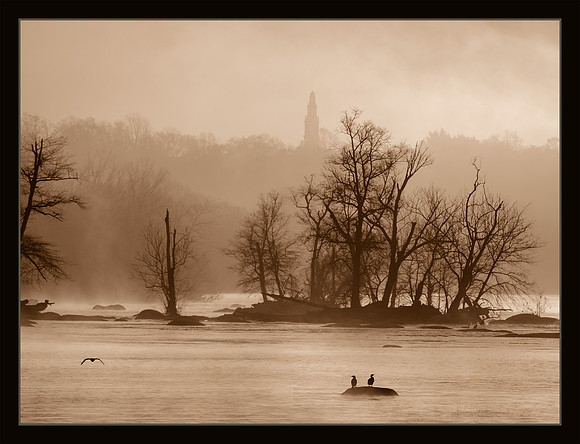 Whispering Dawn