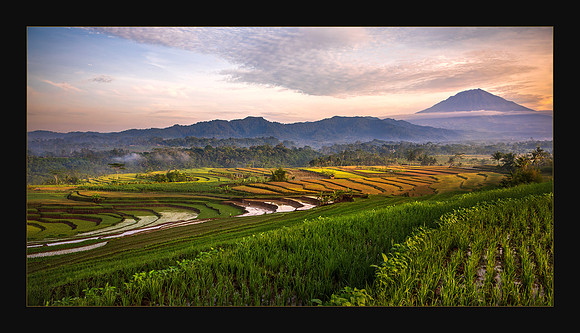Serenity at Dawn