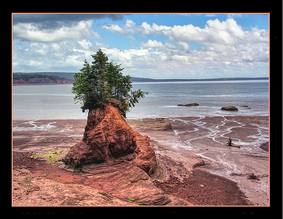 Flower Pot at Low Tide