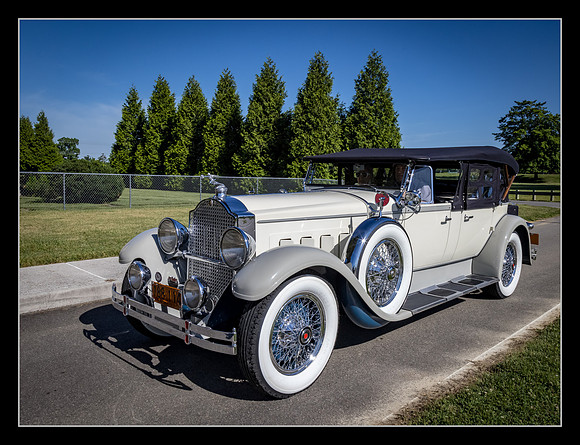 Classic Elegance