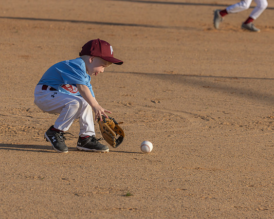 Focused Fielding at Four!