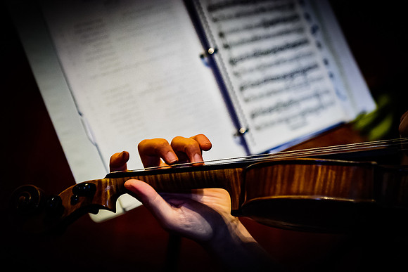 The Fiddler
