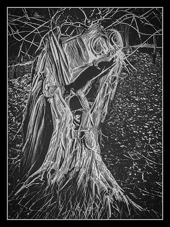 Nightmare on Elm Tree