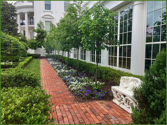 Presidential View