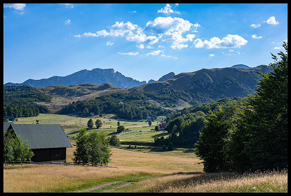 Mountain and Meadow Harmony