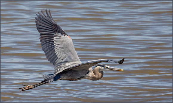 Graceful
