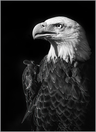 Let Freedom Ring - 2nd