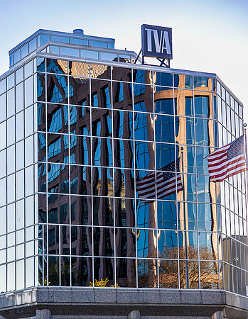 Patriotic Panes