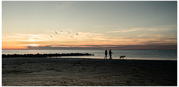 Walking the Beach