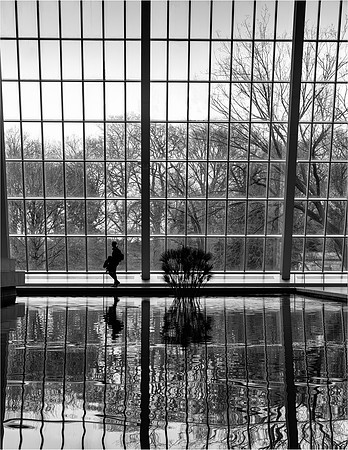 Winter, Central Park
