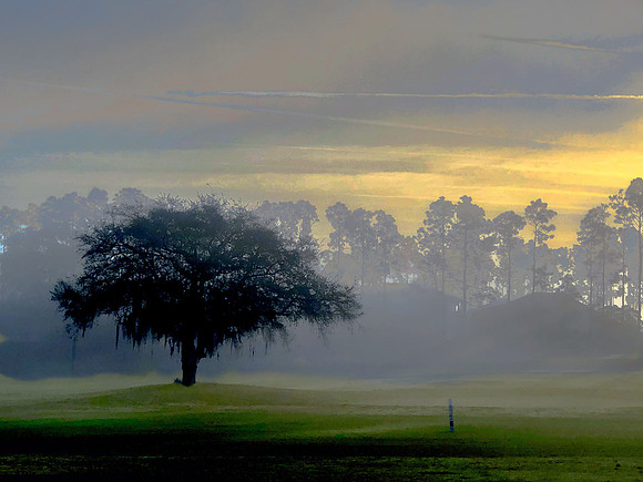 Early Morning Golf Course