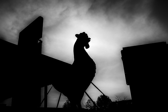 Roadside Attractions #7 (B&W)