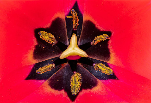Kaleidoscope