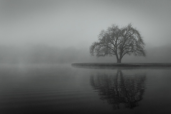 Mist and Majesty - 1st